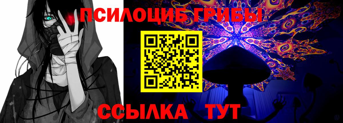 Галлюциногенные грибы Psilocybine cubensis  магазин продажи наркотиков  Вход с VPN  Среднеуральск  Псилоцибиновые грибы GOLDEN TEACHER 
